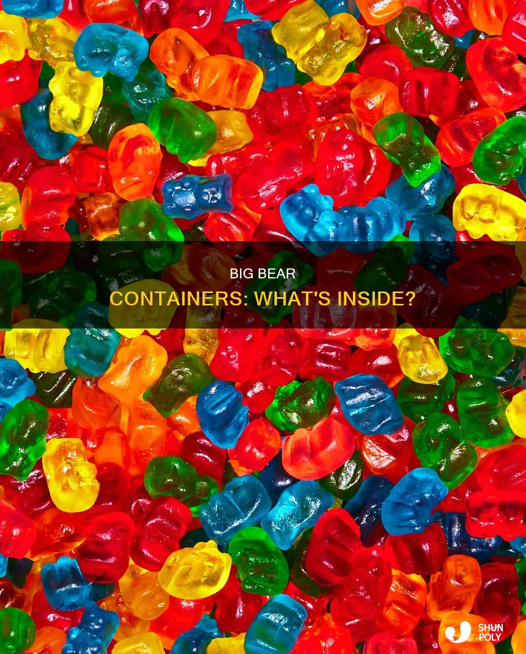 what comes in a large plastic bear container