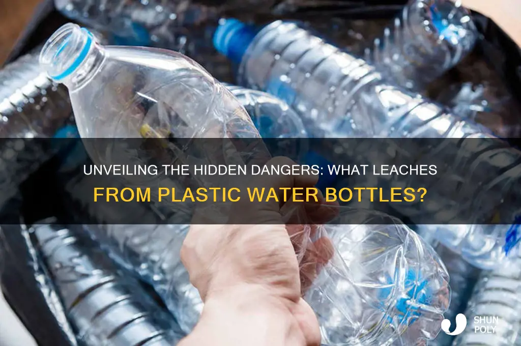 what comes off the plastic in water bottles