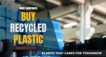 Who Buys Recycled Plastic? Companies Leading the Way