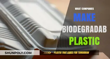 Eco-Friendly Innovations: Companies Leading Biodegradable Plastic Production