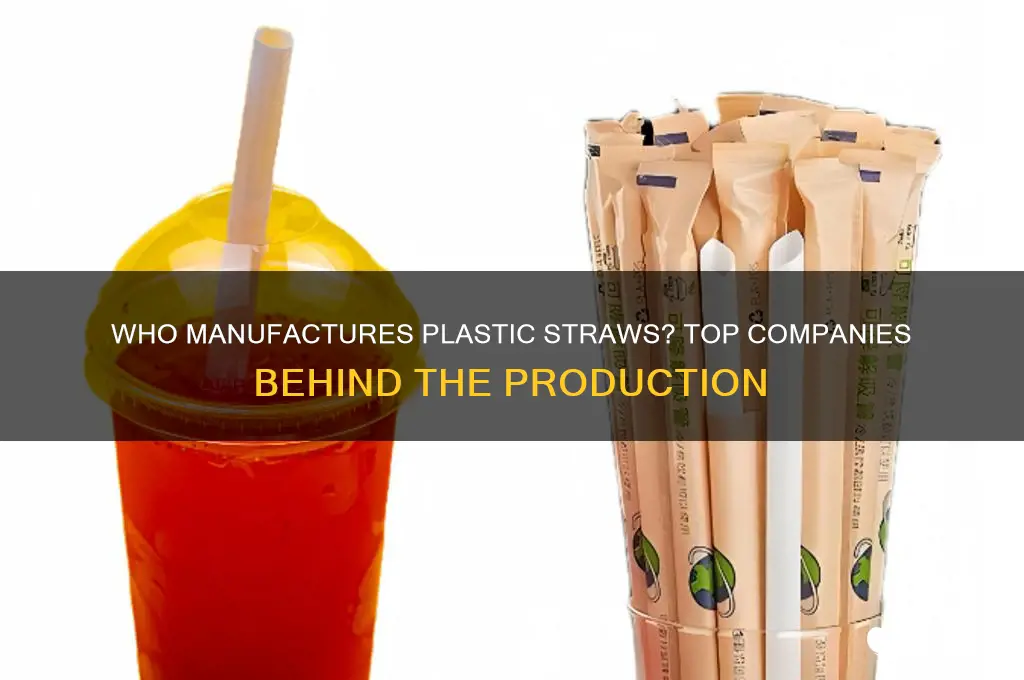 what companies make plastic straws