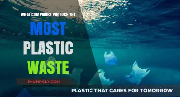 Who Pollutes the Most? Companies Behind Plastic Waste
