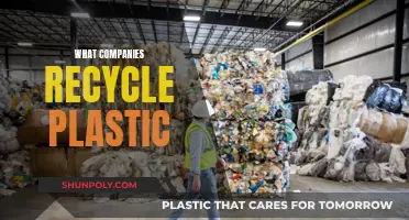 Reputable Companies That Recycle Plastic: An Eco-Friendly Guide
