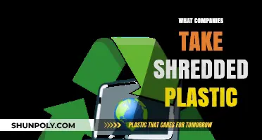 Eco-Friendly Options: Companies That Recycle Shredded Plastic