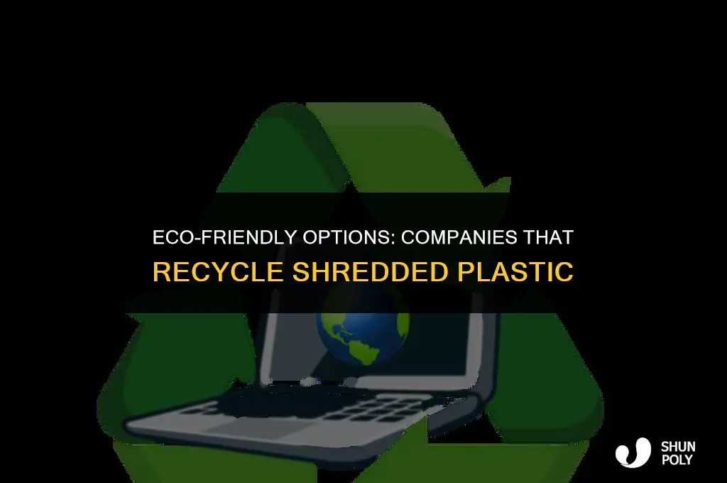 what companies take shredded plastic