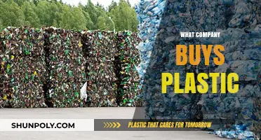 Discover Top Companies That Purchase and Recycle Plastic Waste Today