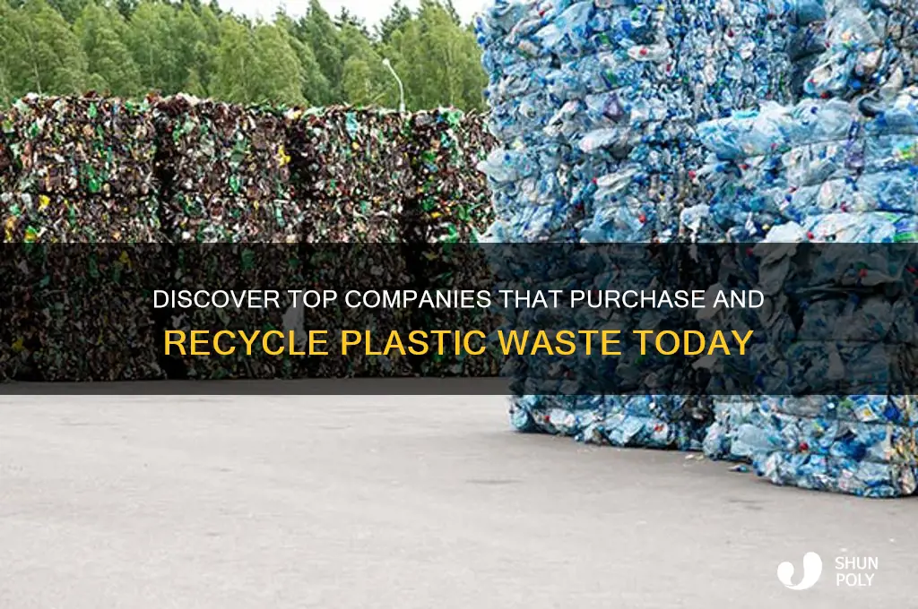 what company buys plastic
