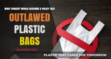 Banning Plastic Bags: A Sustainable Policy for Environmental Conservation