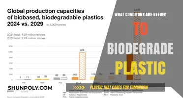 Creating Conditions for Biodegradable Plastics
