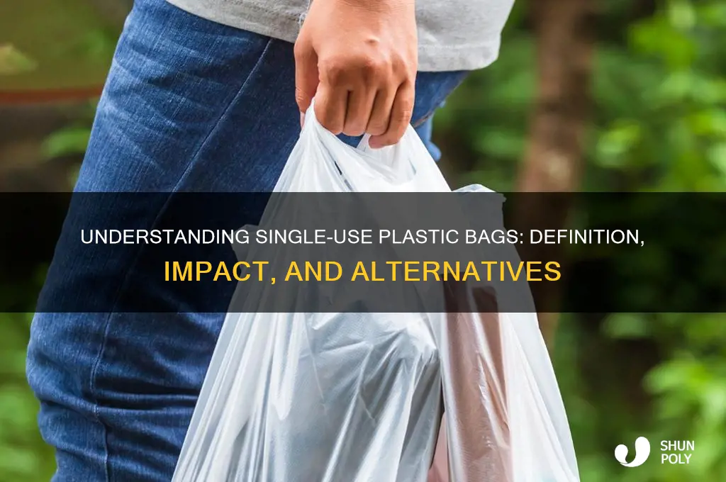 what constitutes a single use plastic bag