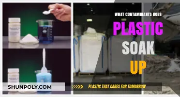 Plastic Soaks Up: Understanding the Contaminants in Everyday Plastics