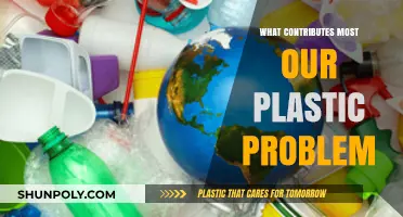 The Plastic Problem: What's the Main Culprit?