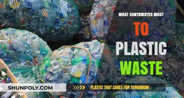 The Plastic Problem: Major Sources of Plastic Waste
