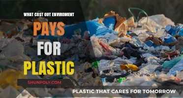 Plastic's Environmental Cost: A Debt We Can't Afford