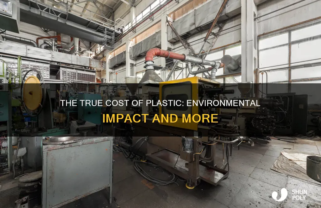 what costs are involved in plastic
