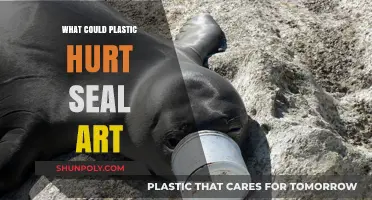 Plastic Pollution: Seal Art in Danger