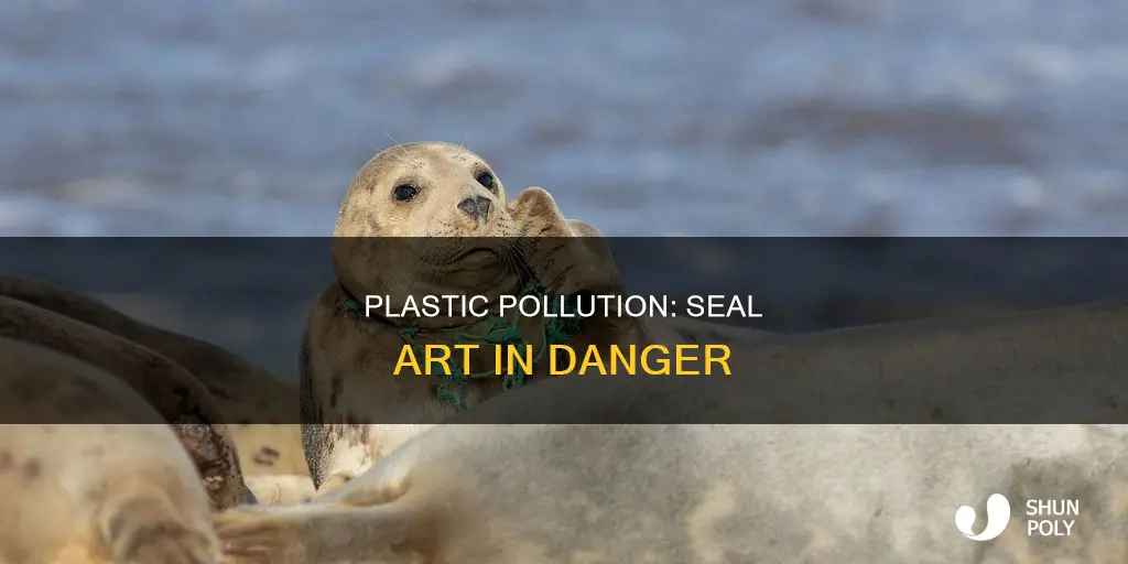 what could plastic hurt seal art
