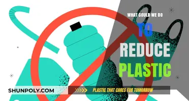 Reducing Plastic: Small Steps, Big Impact