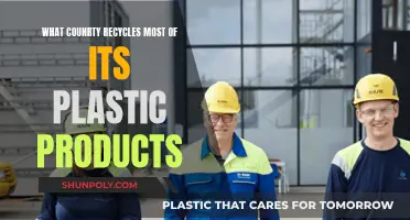 Which Country Leads in Plastic Recycling Efforts?