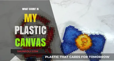 Plastic Canvas Crafting: Counting Stitches, Creating Art