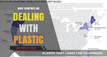 Battling Plastic Pollution: Global Efforts and Initiatives