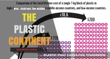 Who's Responsible for the Plastic Continent?