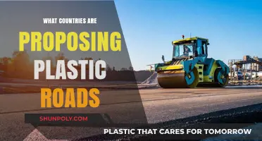 Plastic Roads: Which Countries are Leading the Way?