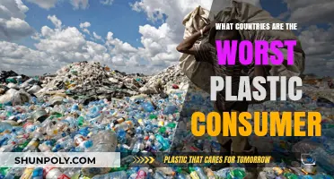 Plastic Polluters: Worst Offenders in the Global Plastic Crisis