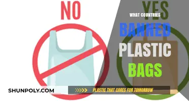 Global Shift: Countries Banning Plastic Bags for a Greener Future