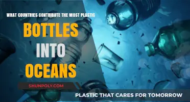 Ocean Plastic Crisis: Top Countries Polluting with Bottles Revealed