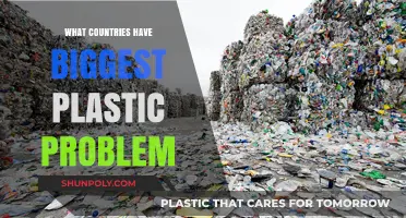 Plastic Pollution: Countries With the Worst Plastic Problems