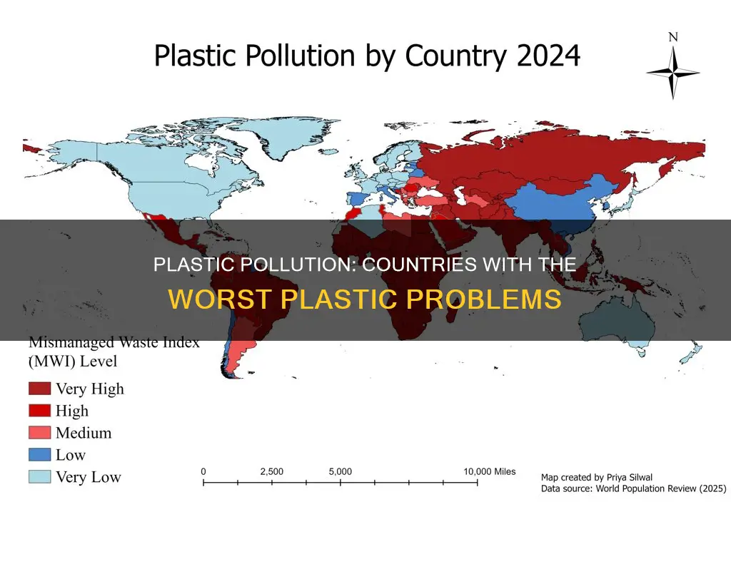 what countries have biggest plastic problem