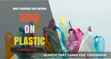 Which Nations Have Banned Plastic?