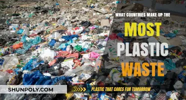 Global Plastic Crisis: Top Nations Contributing to Plastic Waste Pollution