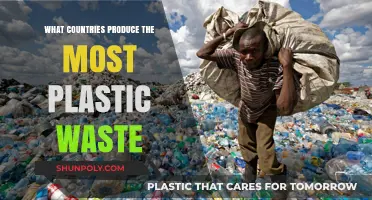 Plastic Waste: Which Countries Pollute the Most?