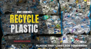 Recycling Champions: Global Leaders in Plastic Waste Management