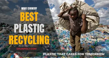 Best Practices for Plastic Recycling by Country