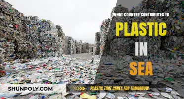 Plastic Pollution: Which Country is the Worst Offender?