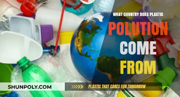 Plastic Pollution: Which Country is the Worst Offender?