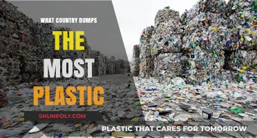Plastic Pollution: Which Country is the Worst Offender?
