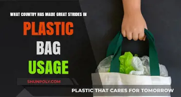 Leading the Way: A Country's Remarkable Progress in Reducing Plastic Bag Usage