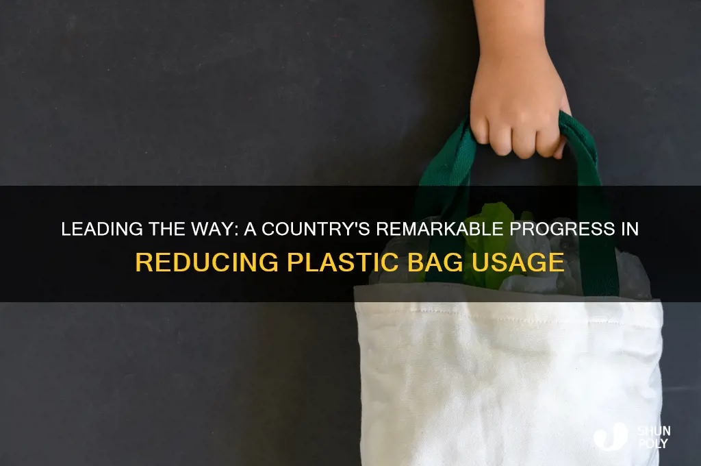 what country has made great strides in plastic bag usage