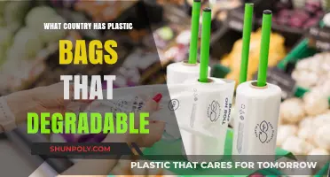Eco-Friendly Nations: Which Countries Use Biodegradable Plastic Bags?