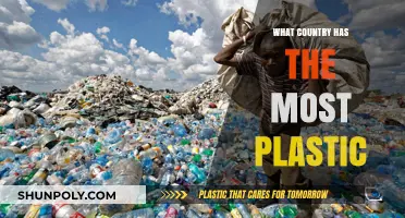 Plastic Pollution: Which Country is the Worst Offender?