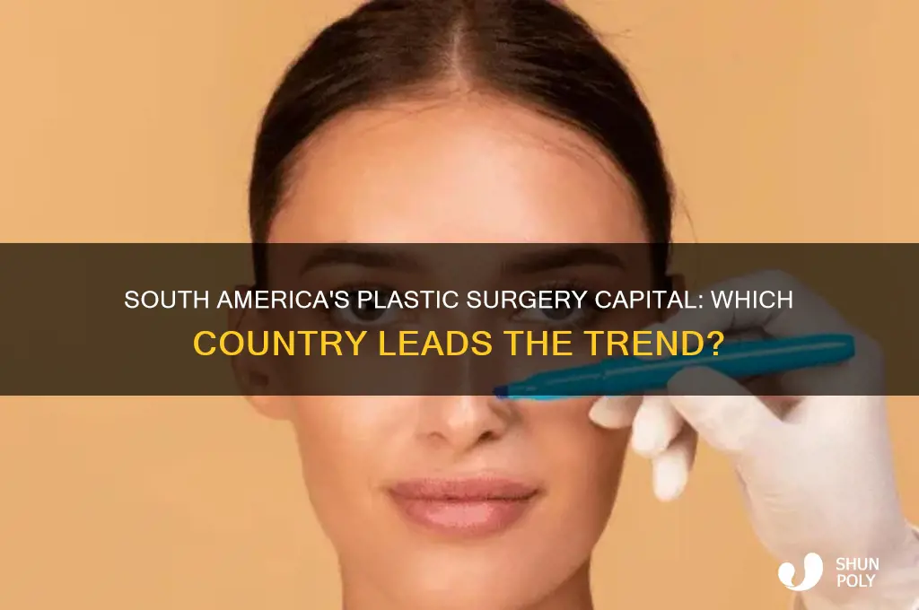 what country in south america has most plastic surgery
