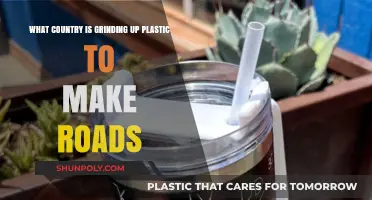 Revolutionary Roads: Which Country Recycles Plastic for Pavement?