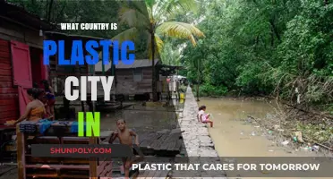 Plastic City: Where Is It?
