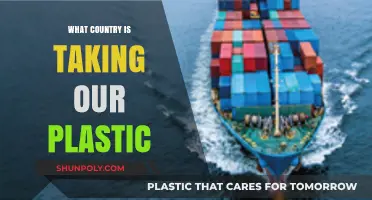 Who is Taking Our Plastic Waste?