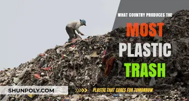 Plastic Pollution: Which Country Trashes the Most?
