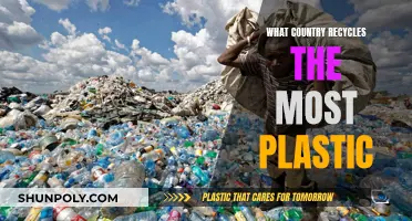 Recycling Champions: Which Country Leads in Plastic Waste Management?